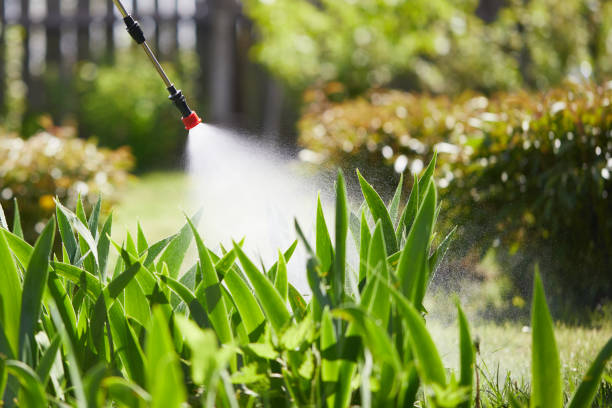 Void Injection for Cockroach Colonies in Cane Savannah