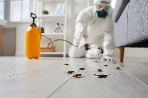 Commercial Kitchen Cockroach Control in Cane Savannah